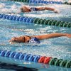 competition-2016-2017 - 2017-06-meeting open espoirs - 100 pap dames